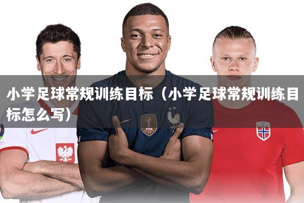 小学足球常规训练目标（小学足球常规训练目标怎么写）