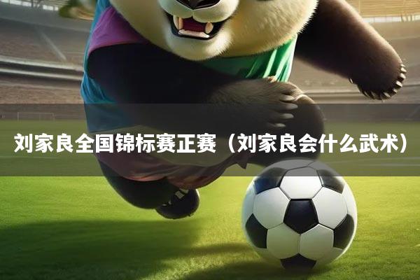 刘家良全国锦标赛正赛（刘家良会什么武术）