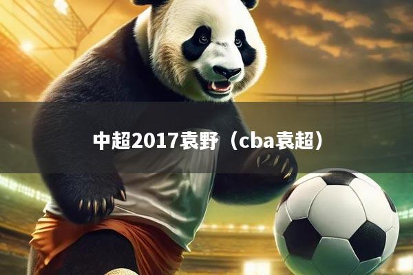 中超2017袁野（cba袁超）