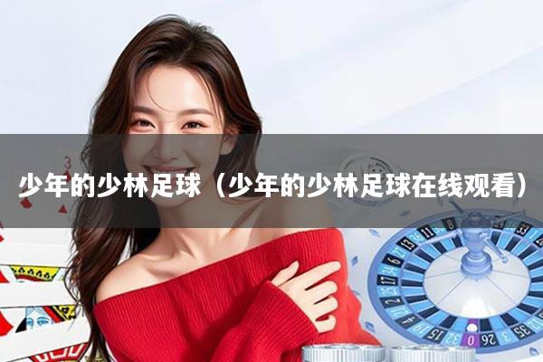 少年的少林足球（少年的少林足球在线观看）