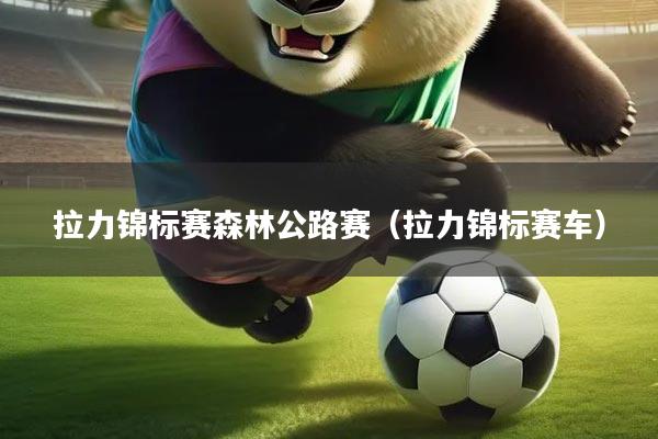 拉力锦标赛森林公路赛（拉力锦标赛车）